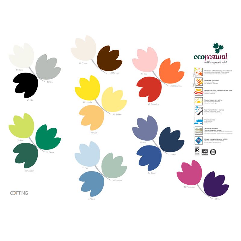 Option Coloris skai Ecopostural